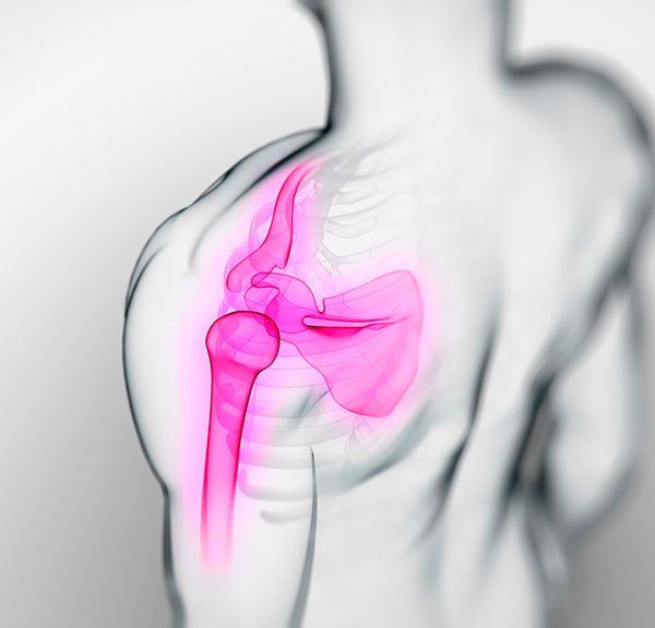 Estabilidad escápulo-humeral
